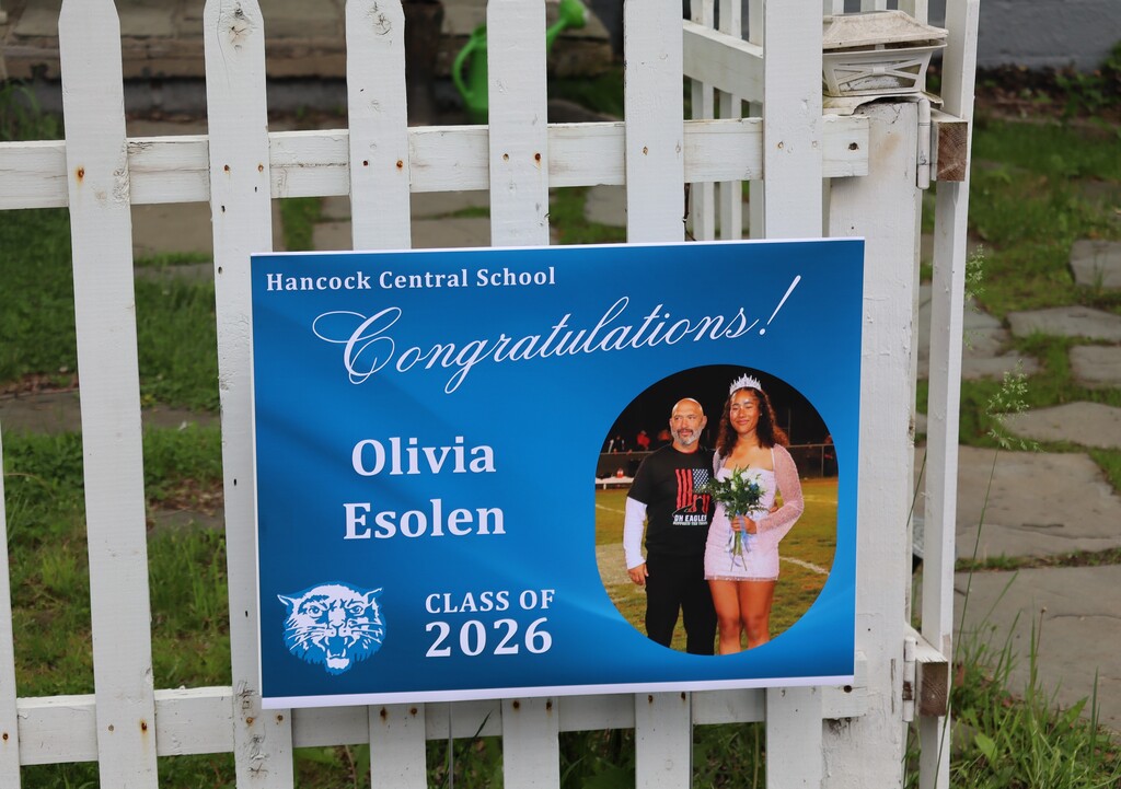 Senior signs - 1