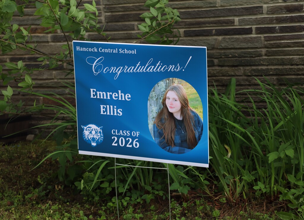 Senior signs - 3