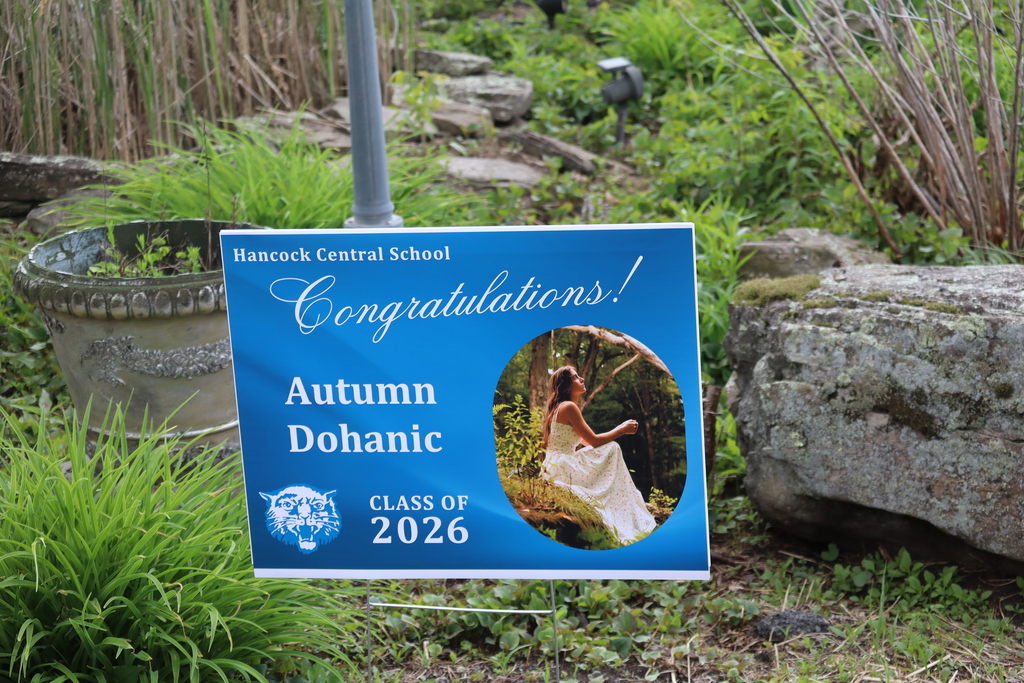 Senior signs - 4