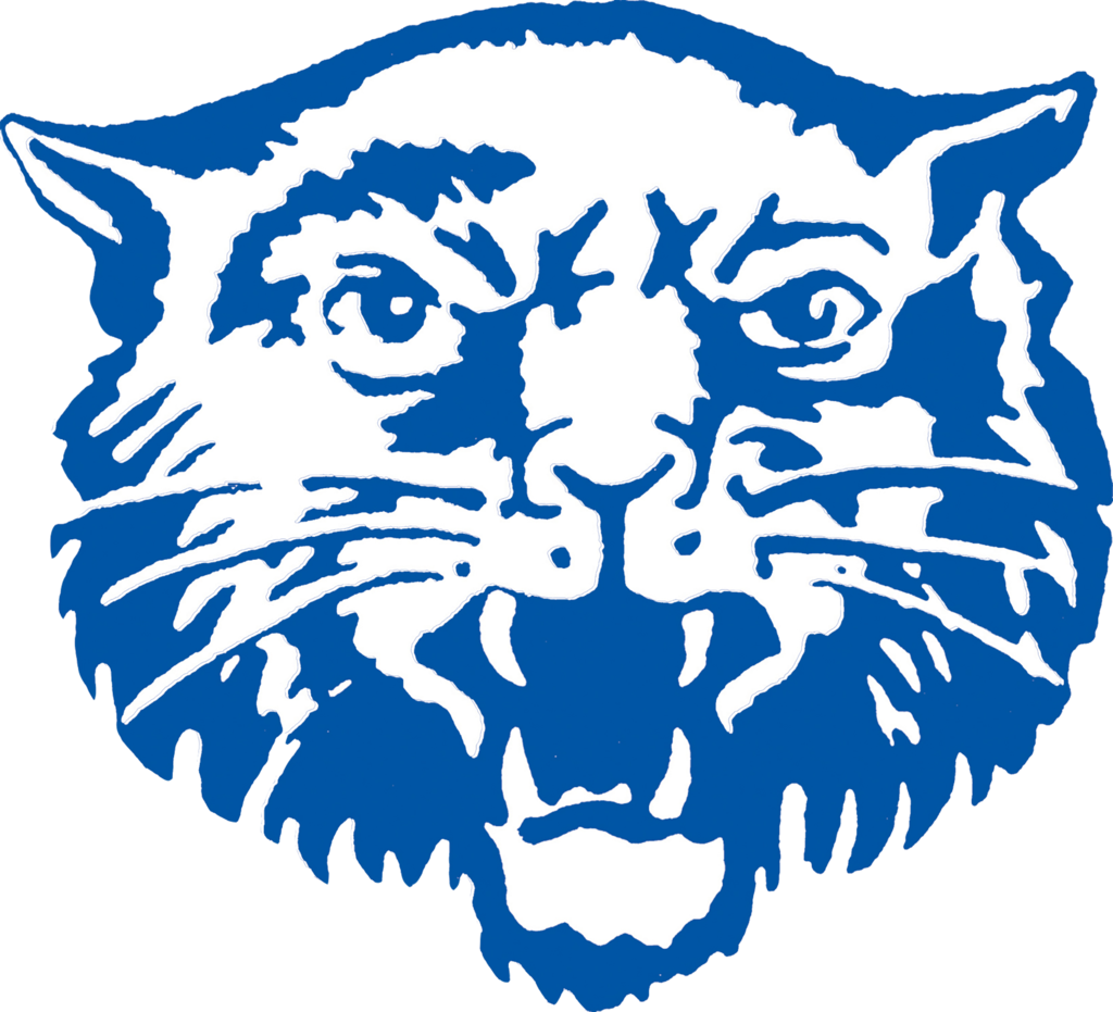 Hancock Wildcat Logo