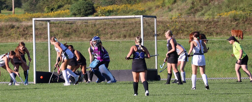 FH vs Greene - 2