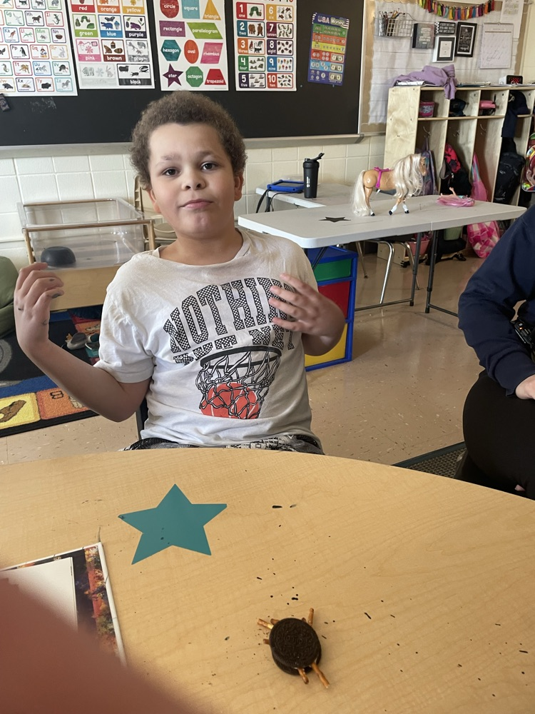 student making Oreo spiders