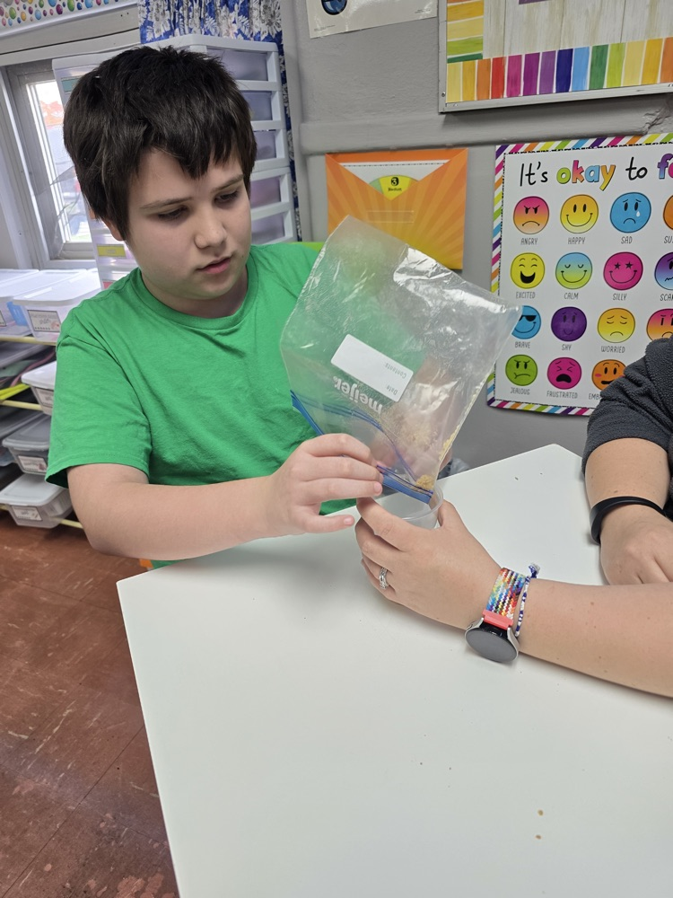 students making and eating apple pie