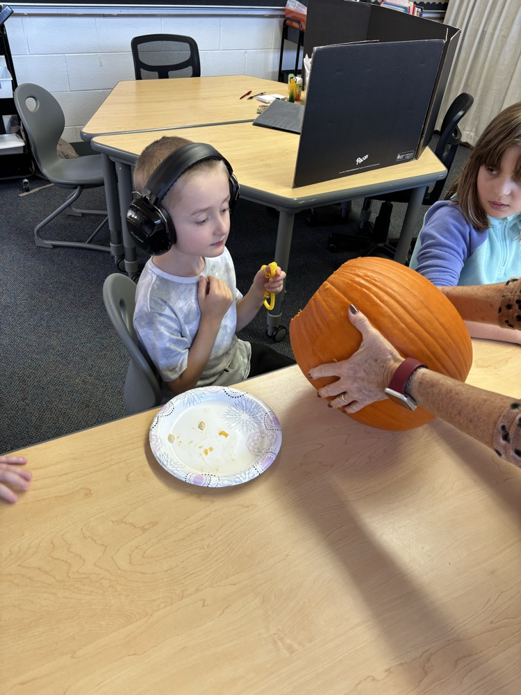 student touching pumpkin