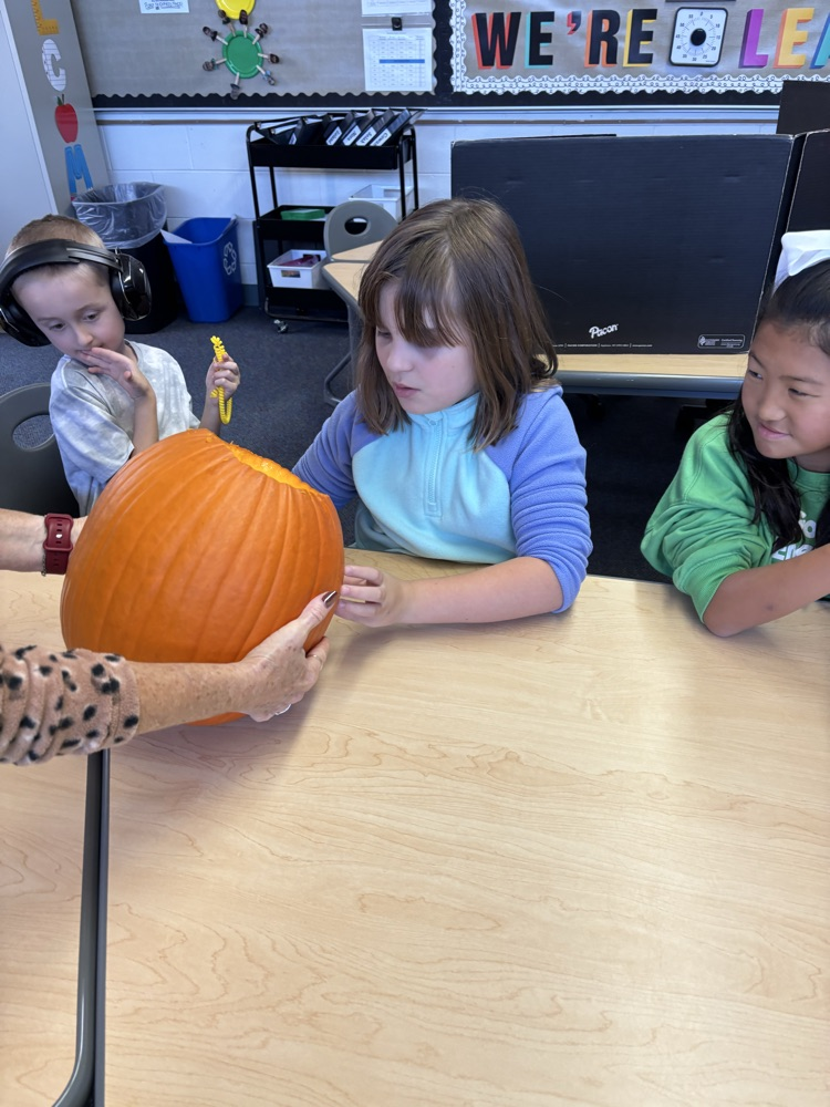 students carving pumpkins