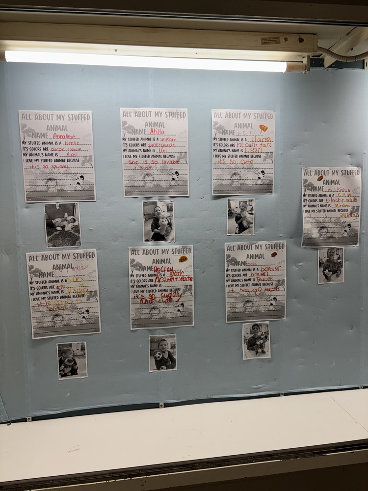 students show and tell information