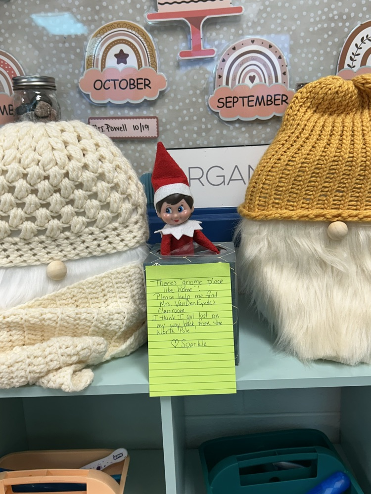 elf amongst the gnomes