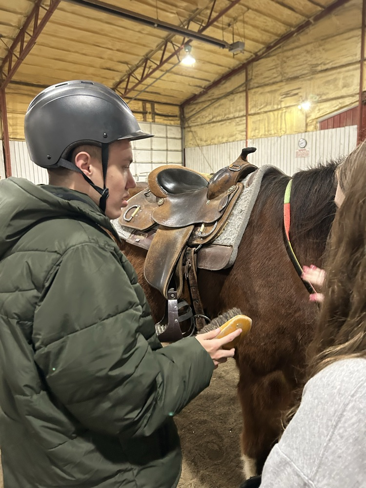 student brushing horse