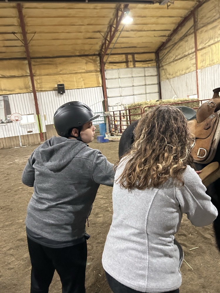 student brushing horse