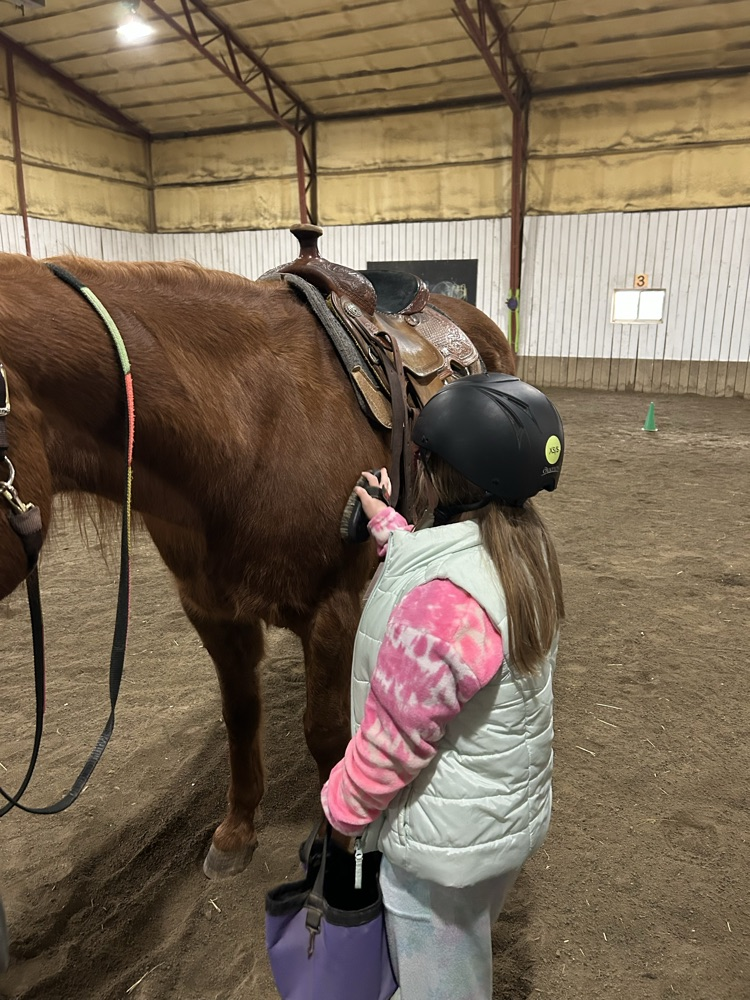 student brushing horse