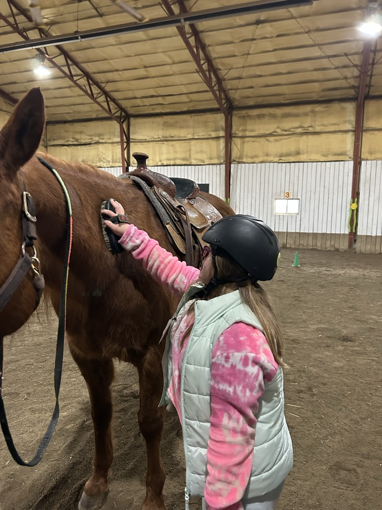 student brushing horse
