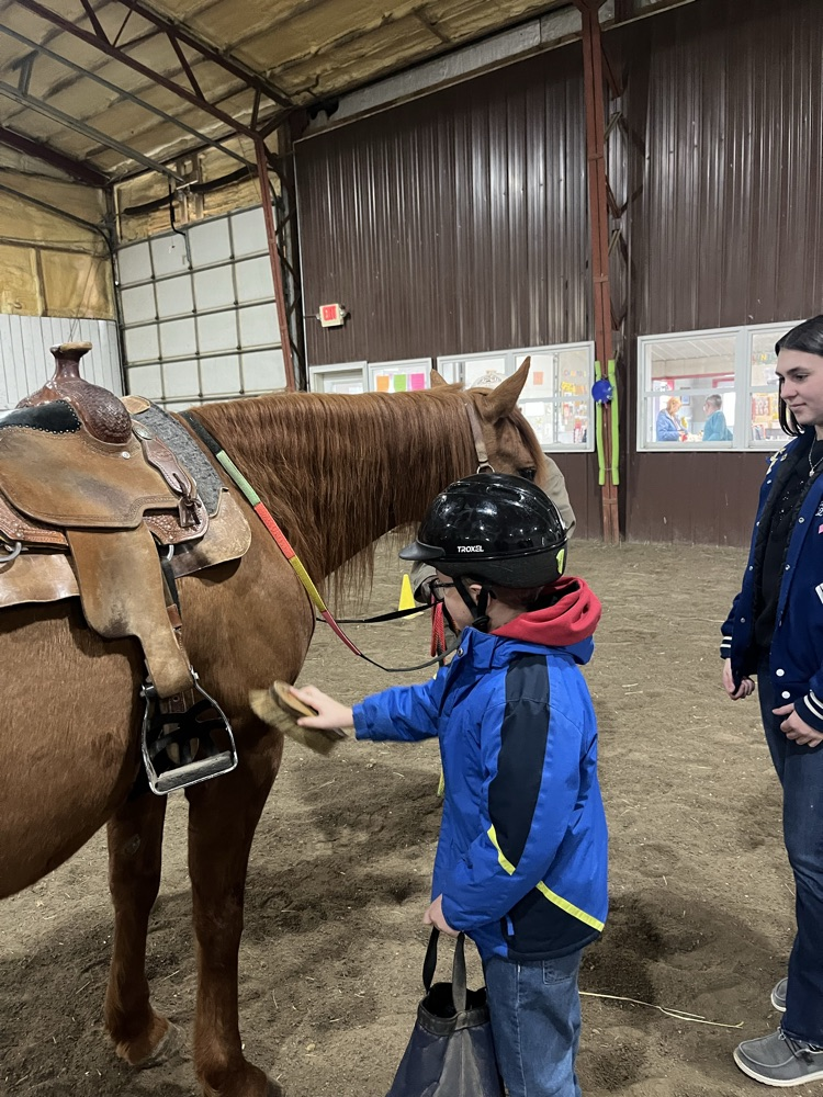 student brushing horse