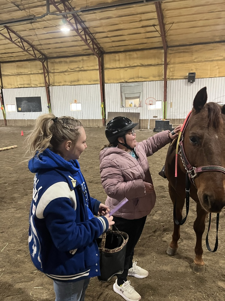 student brushing horse