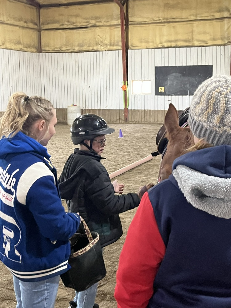 student brushing horse