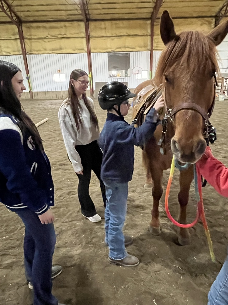 student brushing horse