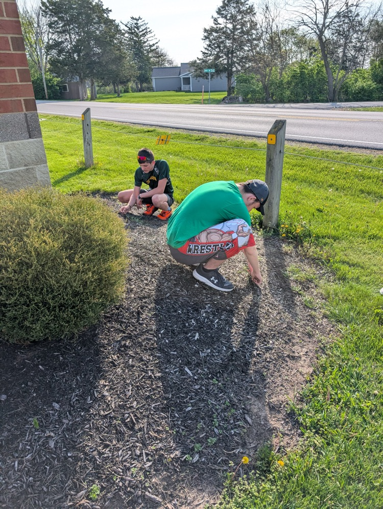 students pulling weeds