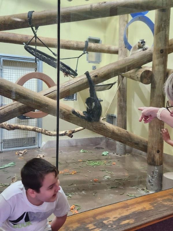 students looking at monkey