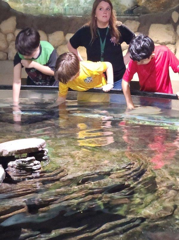 students touching fish