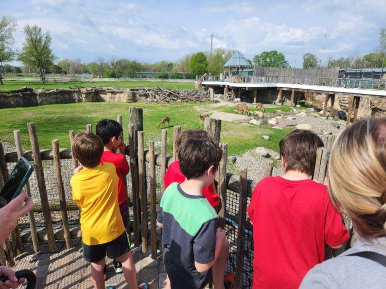 students looking at zoo animals