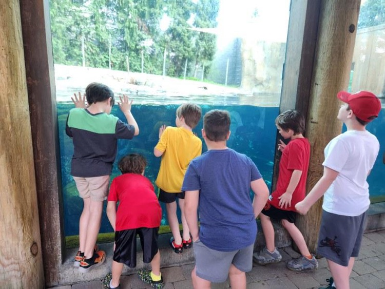 students looking at seals 