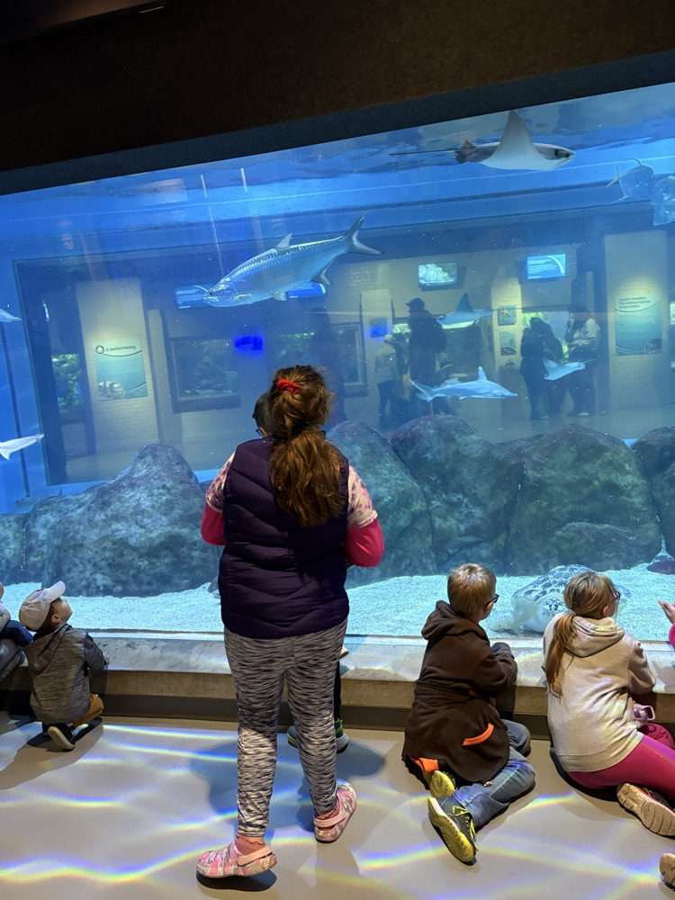 students at the zoo