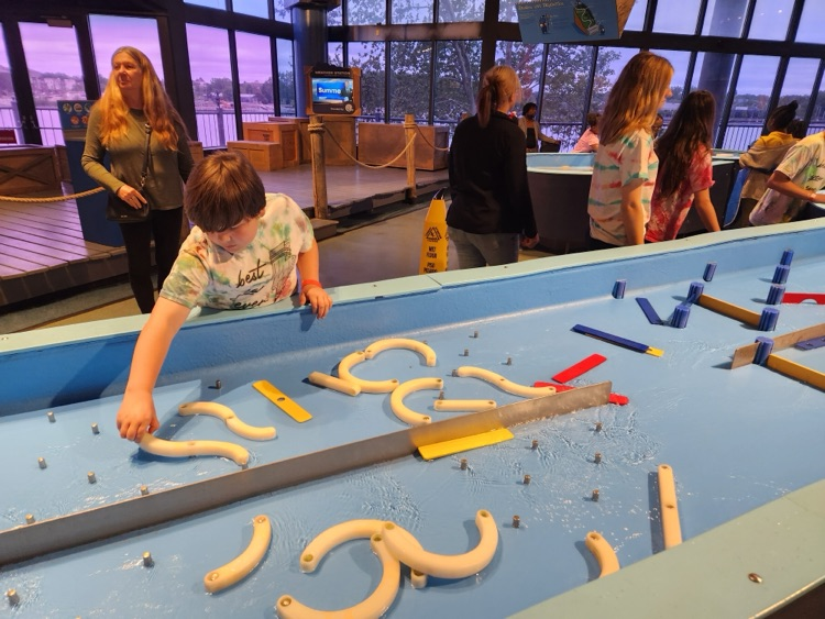 students creating marble mazes