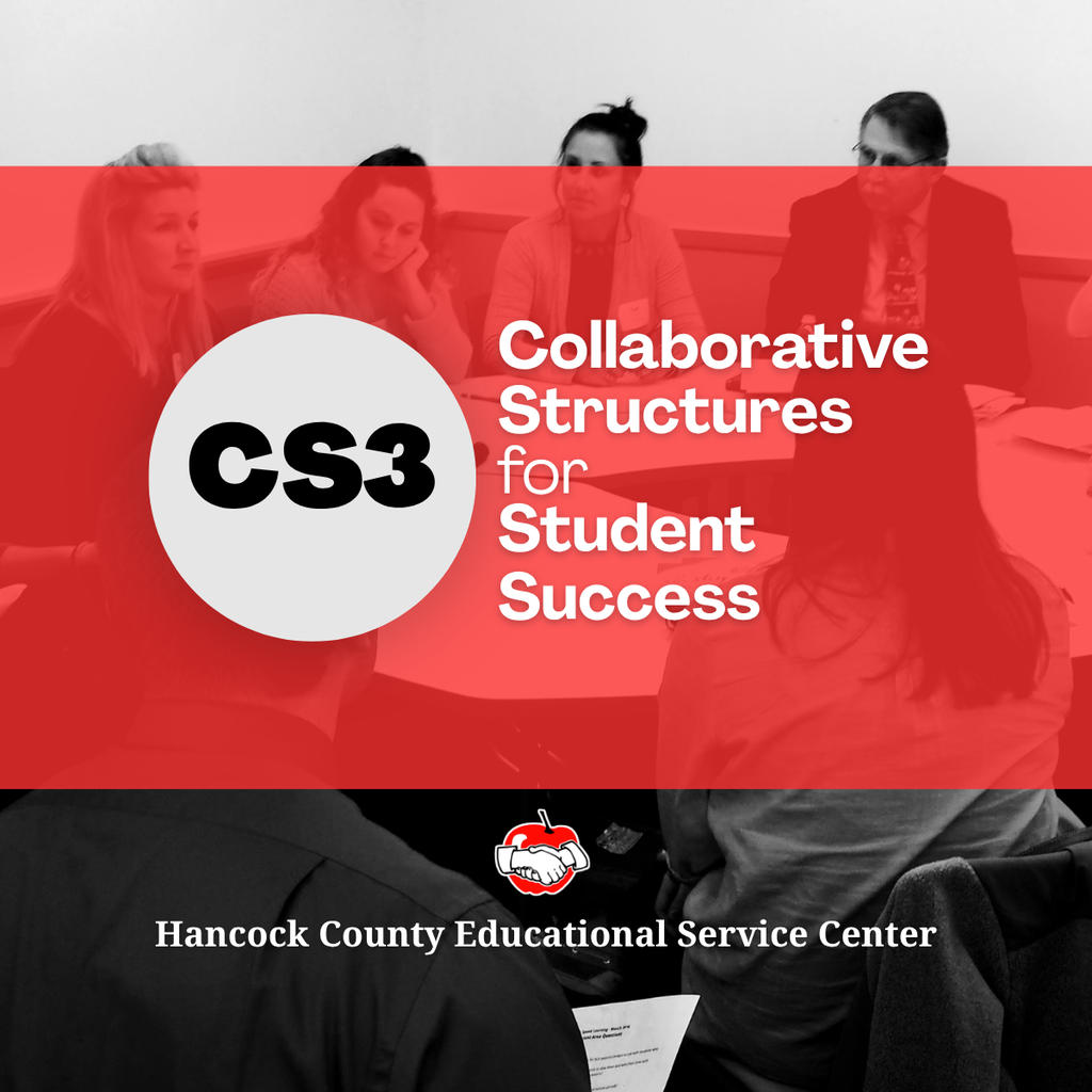 CS3