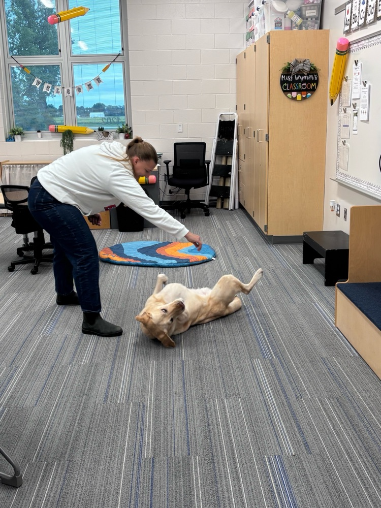 dog rolling over