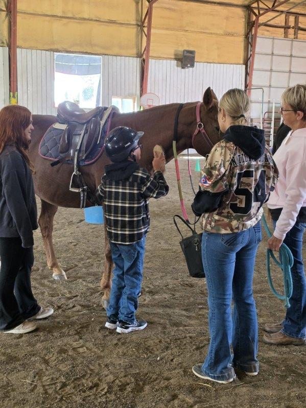 student brushing horse