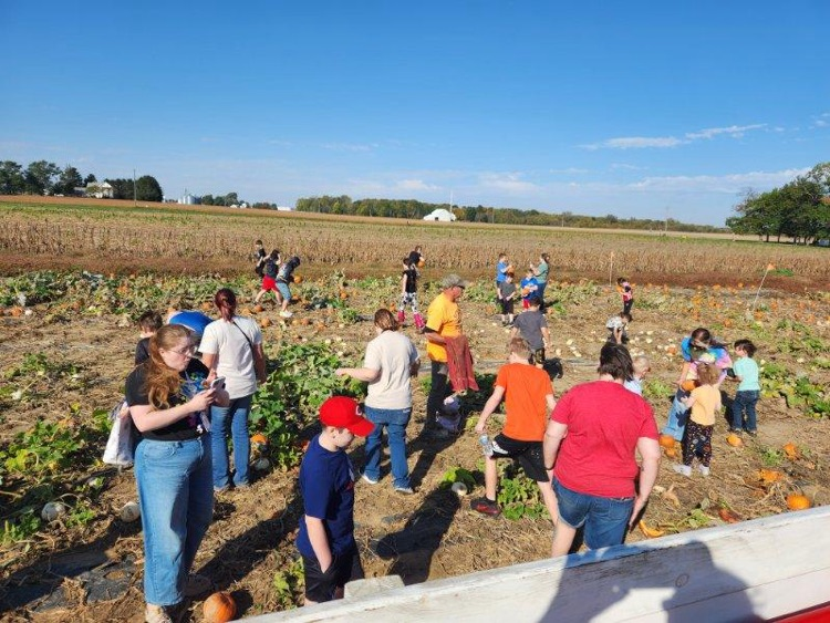 students picking pumpkins