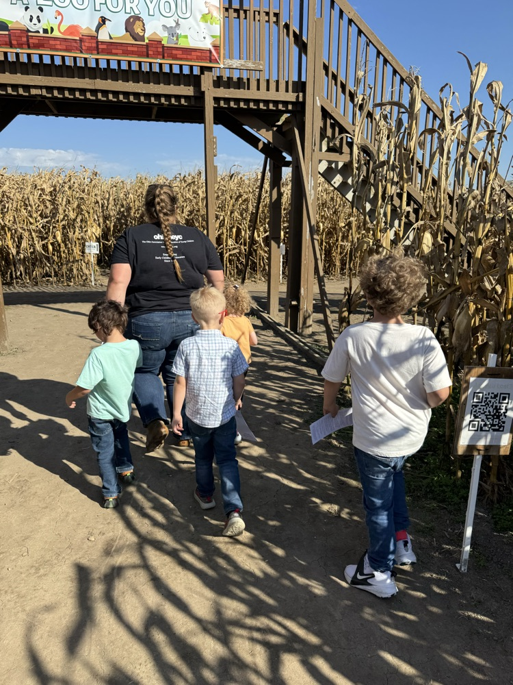students walking through corn maze