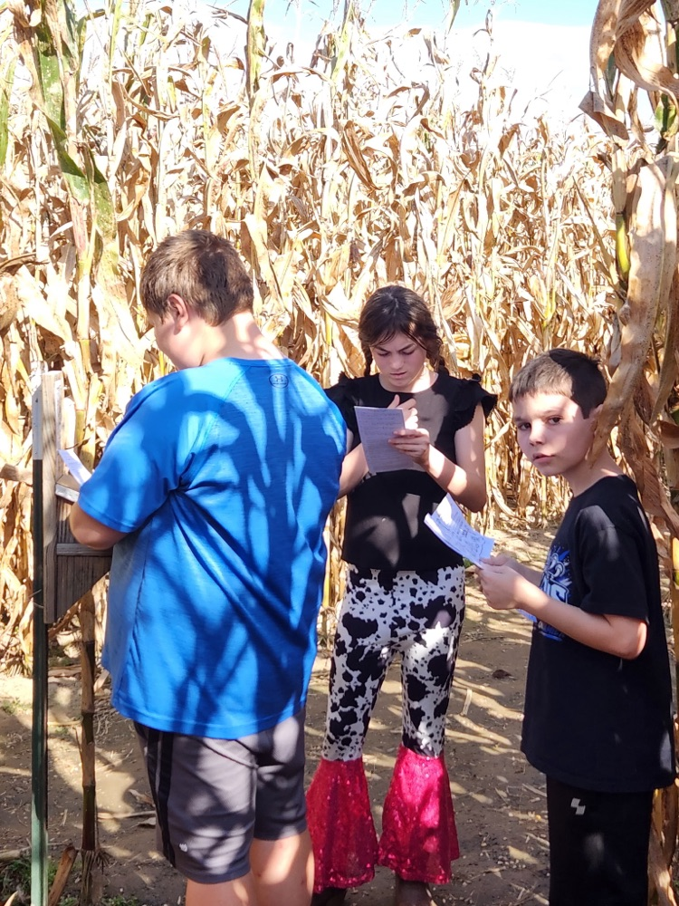 students walking through corn maze