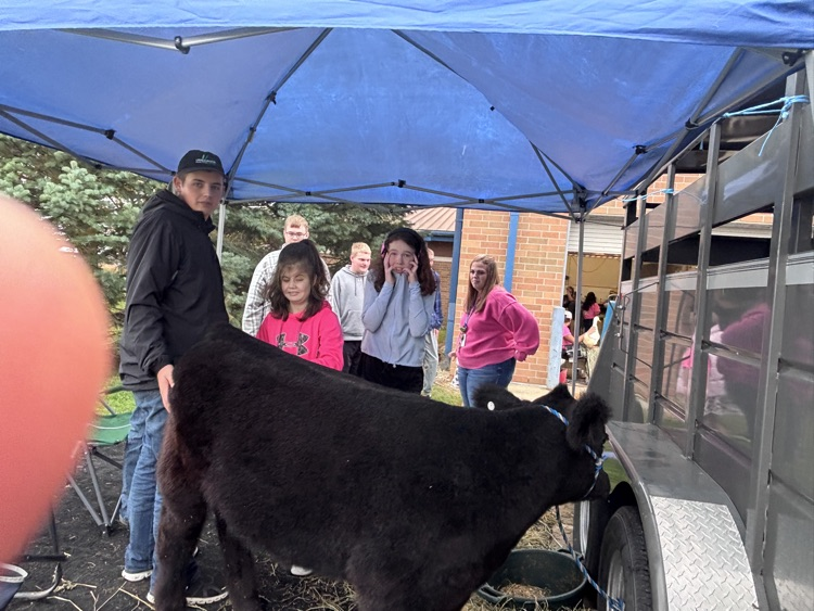 students petting cow