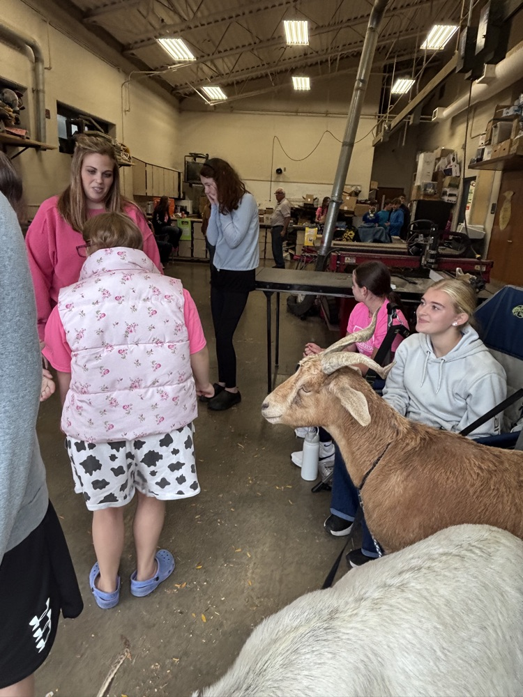 students and goat