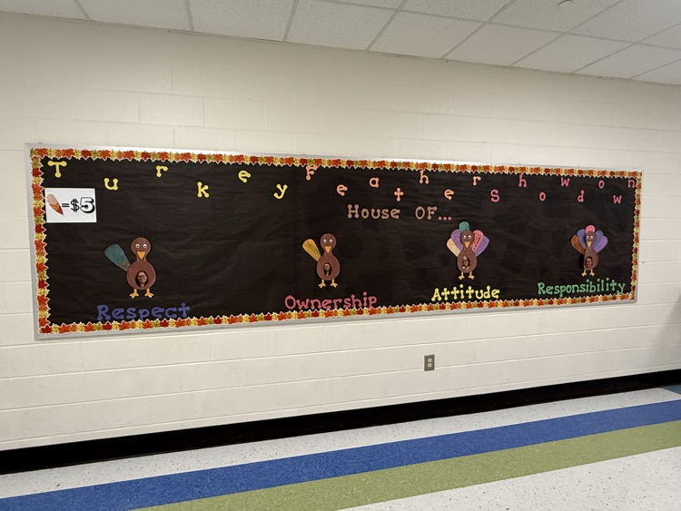 turkey feather update 