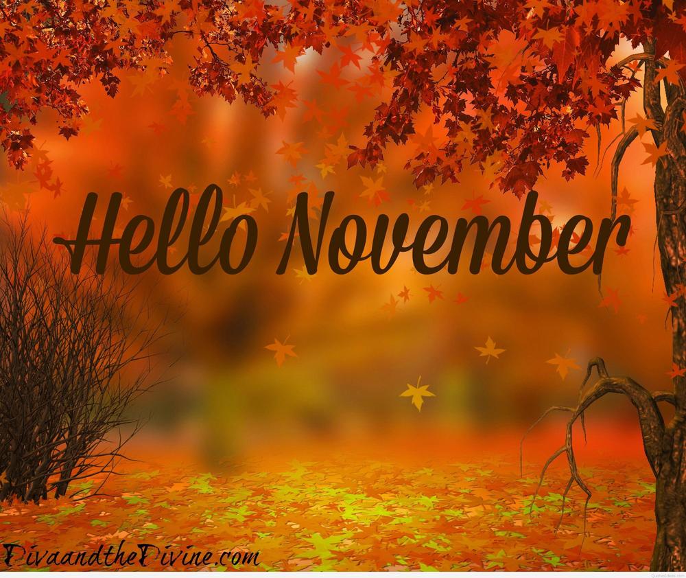 November