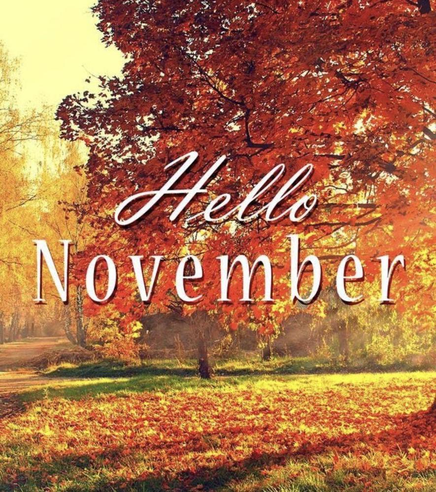 November