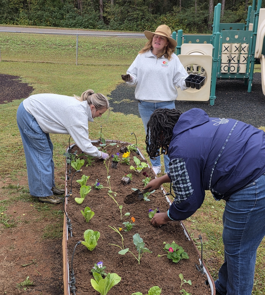 Raised Garden Beds with SHINE Program