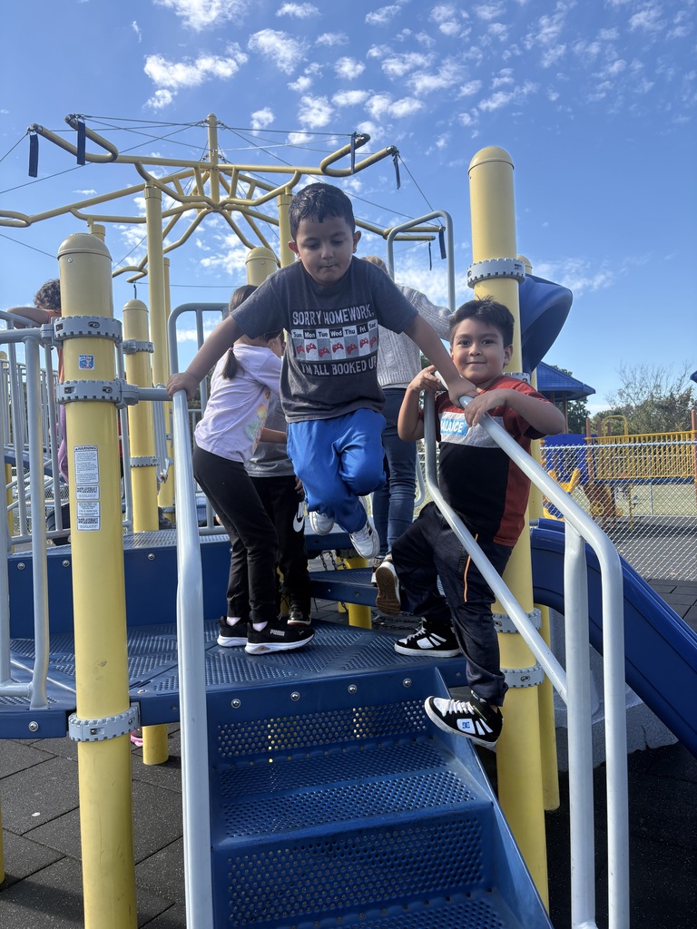 Students on the Playground