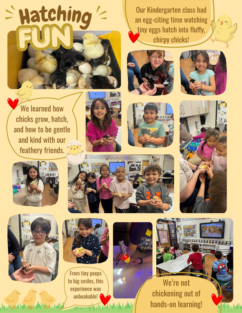 Fun with Chicks - Kindergarten