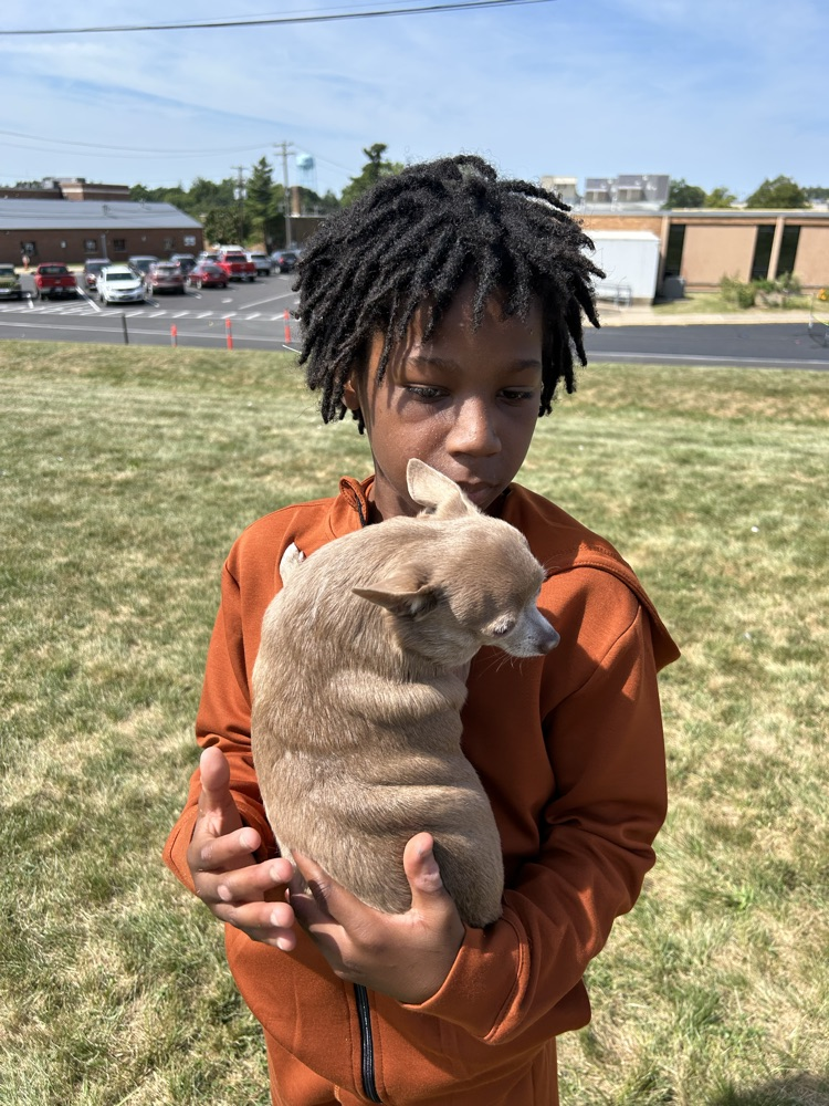 student and dog