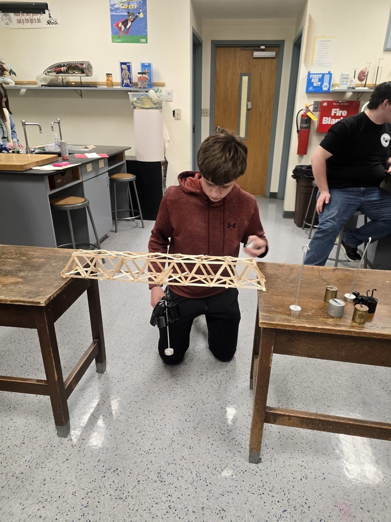 students in bridge contest