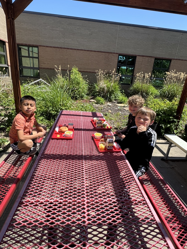 Picnic