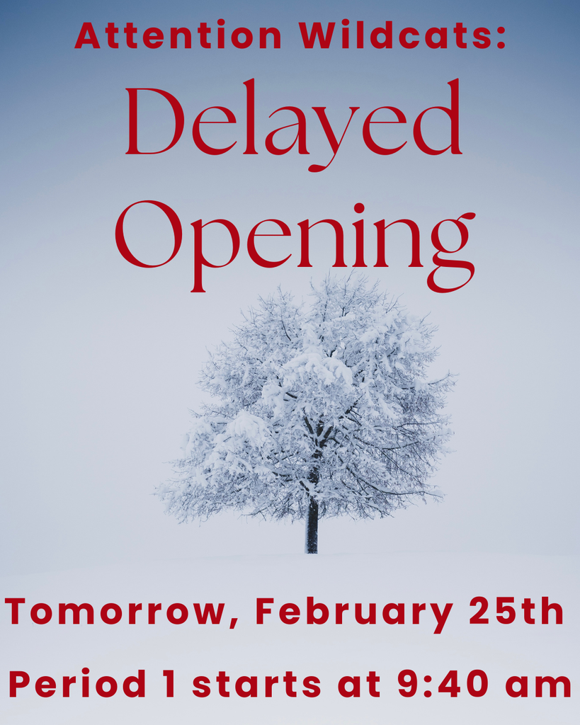 Delayed Opening 2