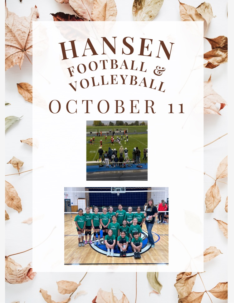 🏈🏐