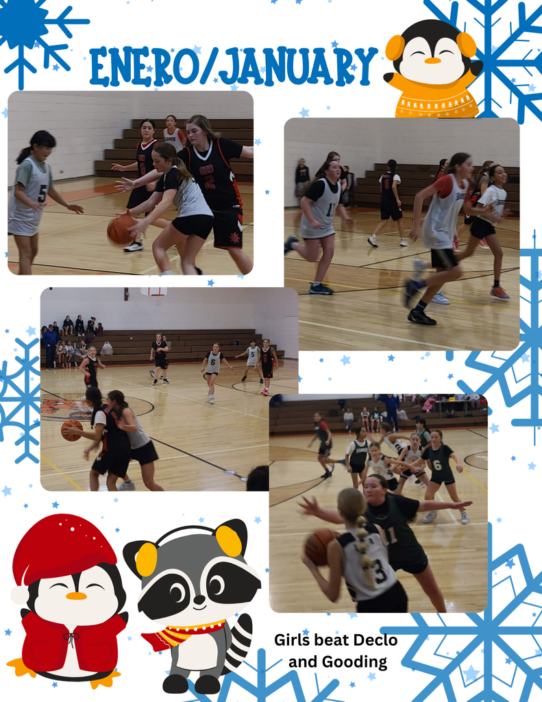 Girls' basketball in Declo