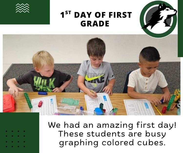 Graphing with Mrs. Moerer on the first day