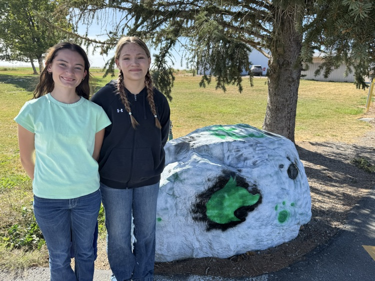Thank you for updating our rock! 💚🤍