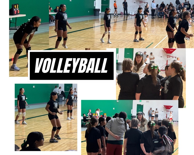 💚🤍🖤🏐