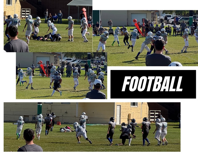Rebels victory over Carey